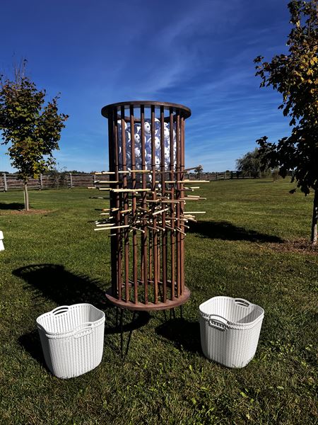 Backyard Active Sports & Events