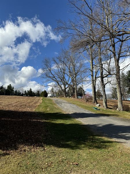 Velvet at Worthington