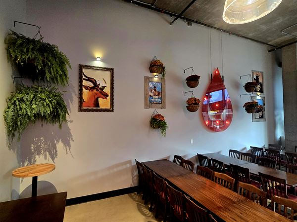 Saucy Brew Works Pinecrest