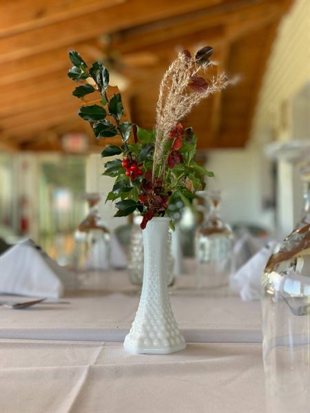 Velvet at Worthington