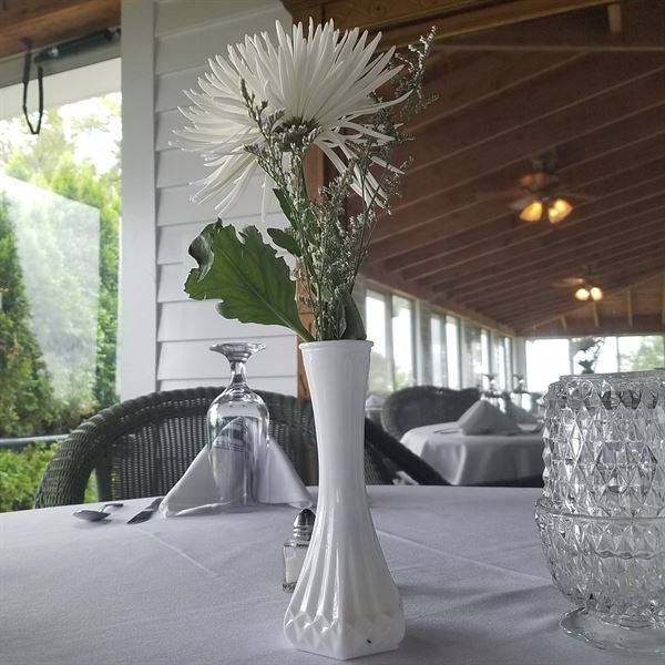 Velvet at Worthington