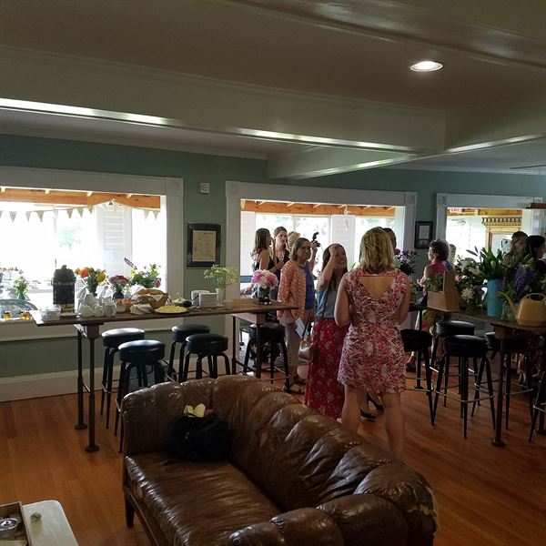 Velvet at Worthington