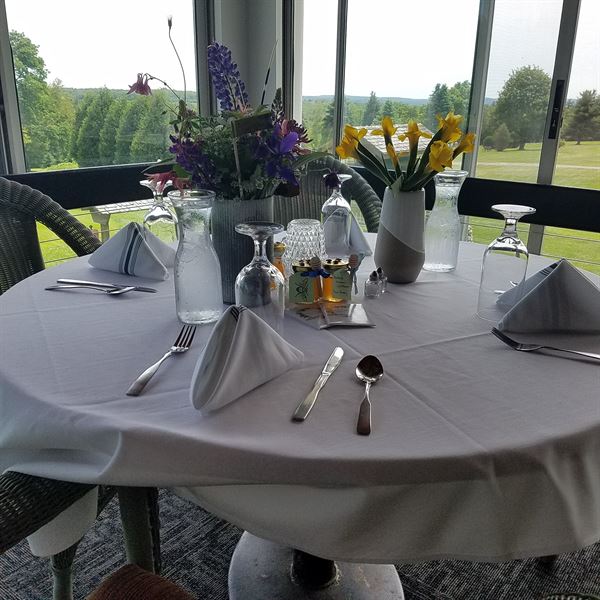 Velvet at Worthington