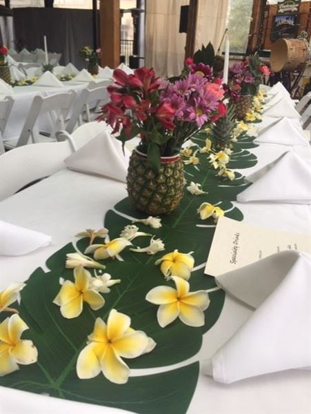 Mo's Irish Pub Vintage Park