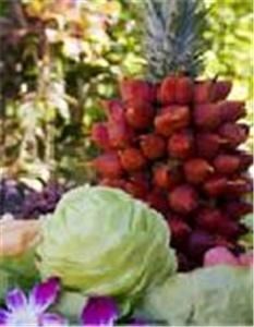 Special Events Catering By Les