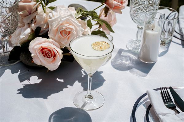 The Agency Collective