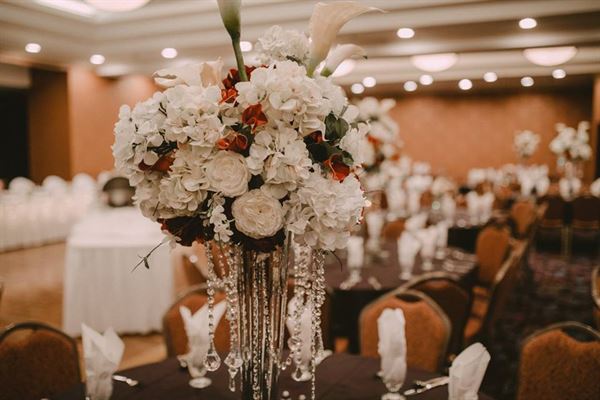 Holiday Inn Dubuque/Galena