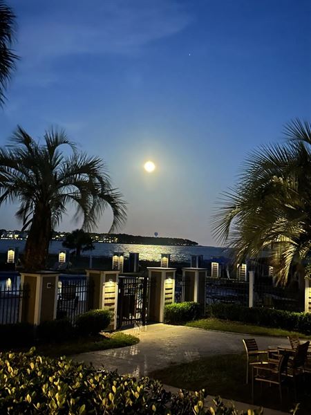 Melrose Oyster House & Beach Club