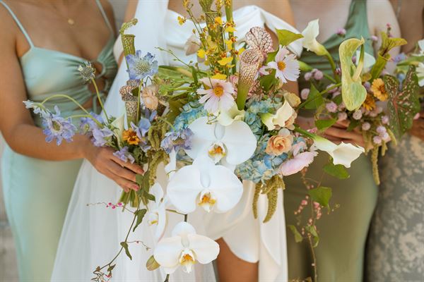 Barking Hound Productions