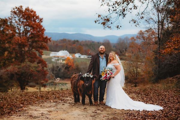 Paradise Family Farm