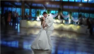 The Wedding Professionals