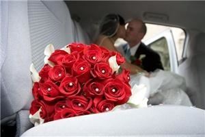 The Wedding Professionals