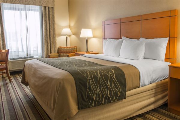 Comfort Inn Metro Airport