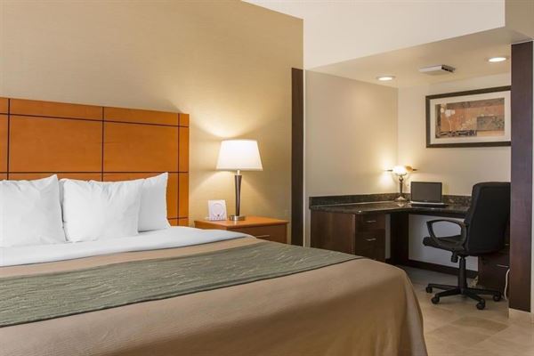 Comfort Inn Metro Airport