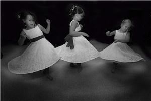 The Wedding Professionals