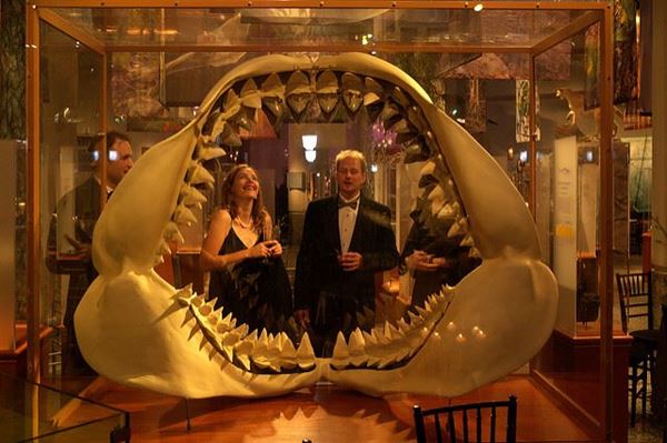 North Carolina Museum of Natural Sciences