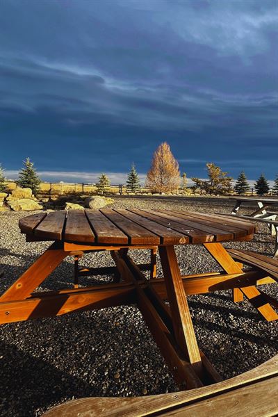 Celestia ERP & Production House Ltd