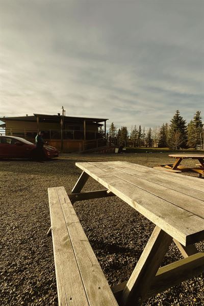 Celestia ERP & Production House Ltd