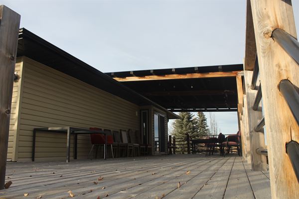 Celestia ERP & Production House Ltd