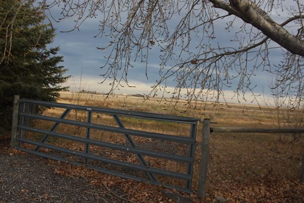 Celestia ERP & Production House Ltd