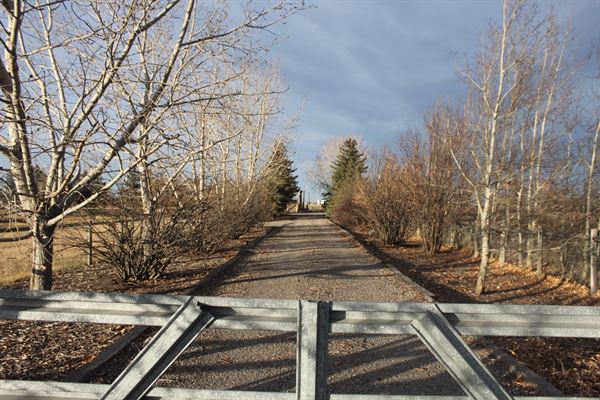 Celestia ERP & Production House Ltd