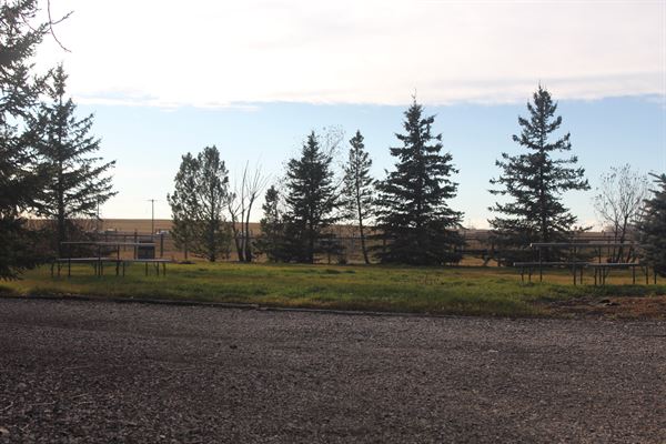 Celestia ERP & Production House Ltd