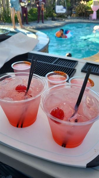 L.A.Faness Bartending Services