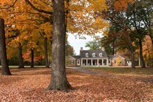 Brushwood Center (Entire Home)