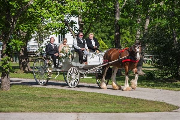 East Texas Arboretum and Botanical Society