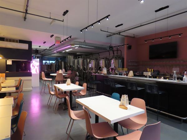 Something in the Water Kingston