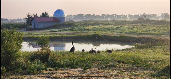 Inland Ocean Vineyards