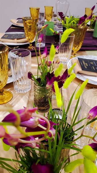 A Greater Plan Events