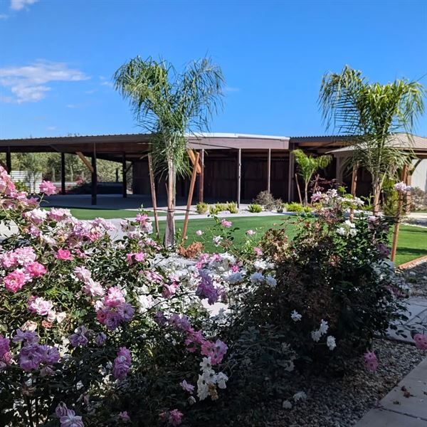 The Orchard at Karan Farms