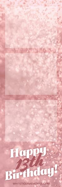 White Tiger Memories