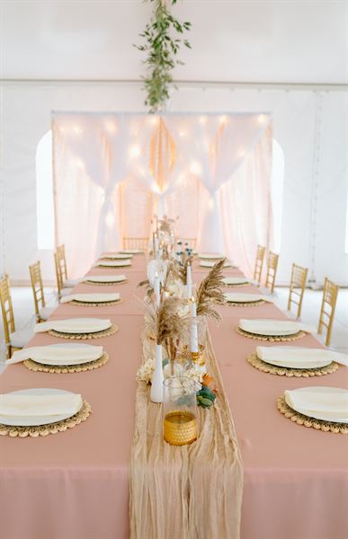 Schade Vineyard & Winery