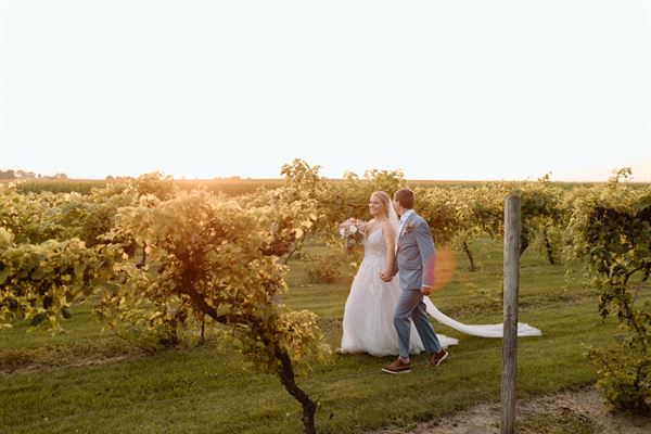 Schade Vineyard & Winery