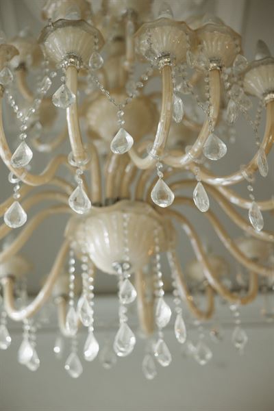 The Princeton your private mansion downtown