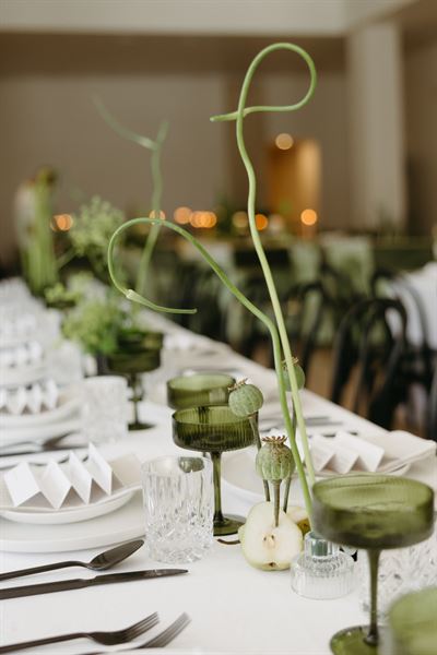 The Princeton your private mansion downtown