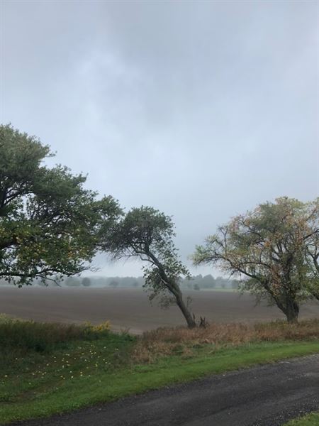 Fox Den Farms Weddings