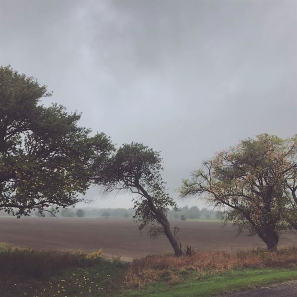 Fox Den Farms Weddings