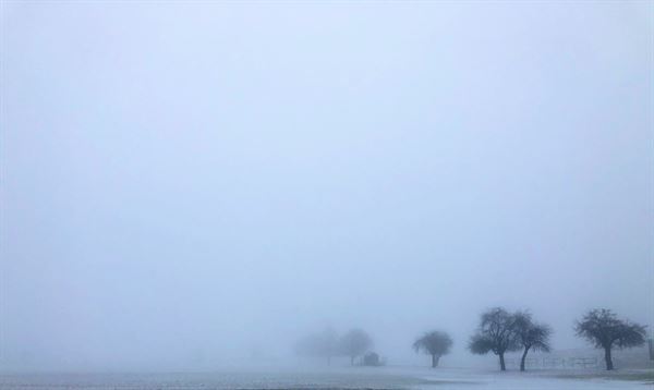 Fox Den Farms Weddings