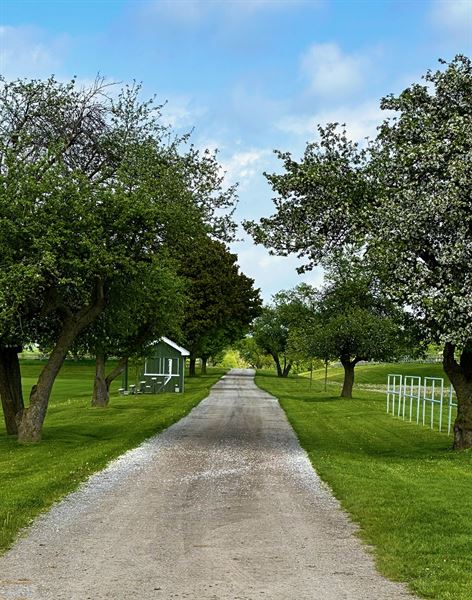 Fox Den Farms Weddings