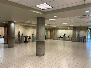 Myfanwy Pavelic Gallery