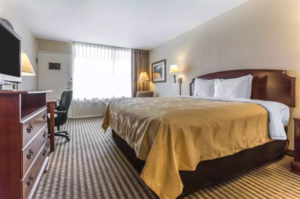 Quality Inn & Suites Georgetown