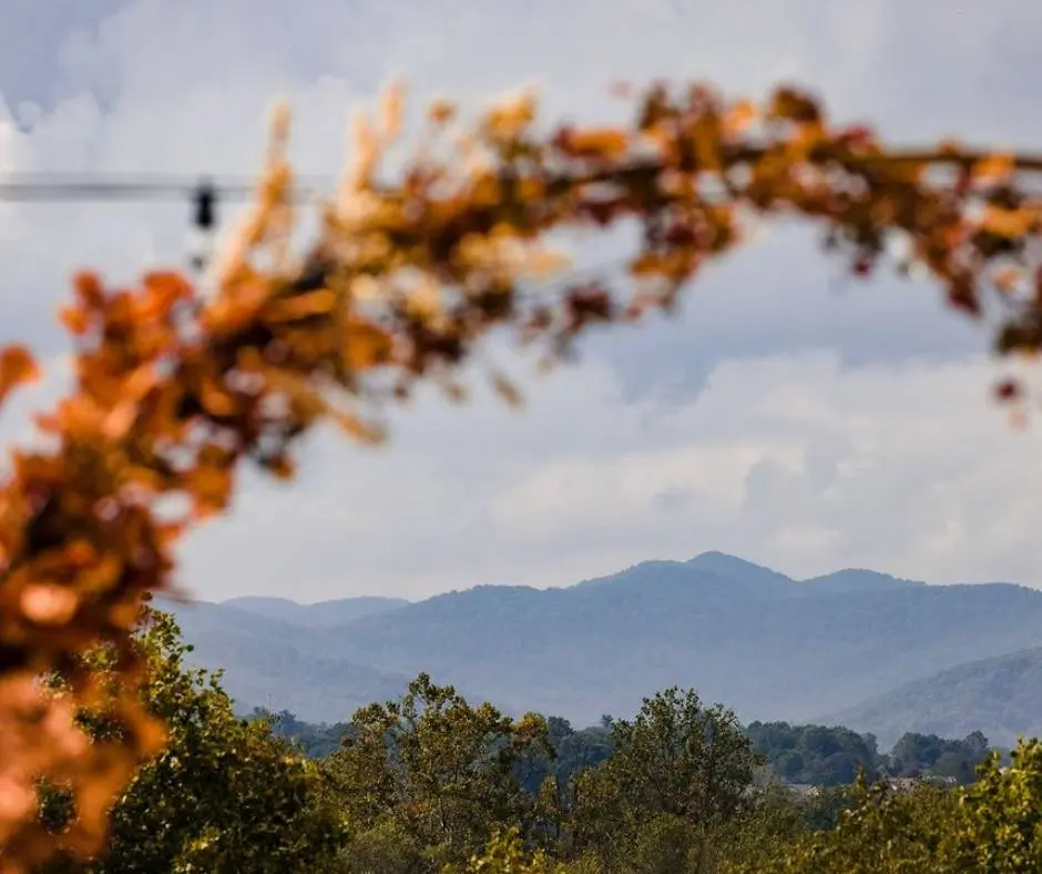 SKYLARANNA Resort & SPA