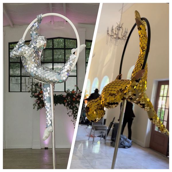 Dakota Fox Entertainment