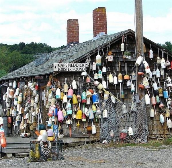 Cape Neddick Lobster Pound