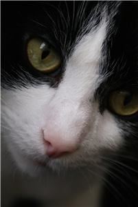 Emily Hibbard Photography - Milwaukee