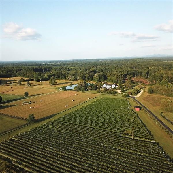 South Paddock Winery at Whitehall Farm
