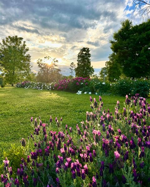 South Paddock Winery at Whitehall Farm
